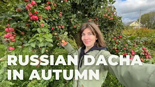 RUSSIAN DACHA autumn vlog in slow Russian. Summer house and garden tour with English subtitles A2+