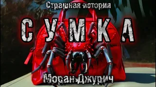 ТАЙНА ЖЕНСКОЙ СУМОЧКИ. Моран Джурич. Страшные истории на ночь. Мистика