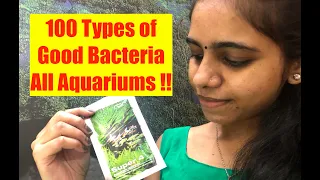 How to use Good Bacteria in your Aquarium ? ADA Super 4 Bacteria | How to have Crystal Clean Water?