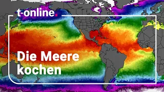 "Zeitbombe": Temperaturrekorde in den Weltmeeren –  Forscher warnt