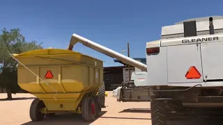 2000 Gleaner R62 Combine #4