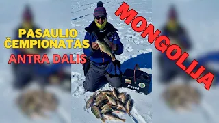 Mongolija | Pasaulio čempionatas | Antra dalis