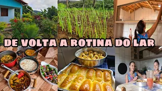 DE VOLTA A ROTINA DO LAR/ FIZ PÃO DE LEITE/ ORGANIZEI A COZINHA/ ALMOÇO COMPLETO/ MOSTREI AS HORTAS