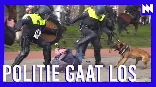 Politie slaat met veel geweld demonstranten van Malieveld