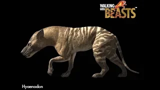 TRILOGY OF LIFE - Walking with Beasts - "Hyaenodon"