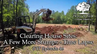 Clearing House Sites: A Few More Stumps