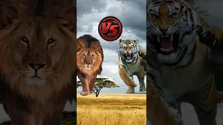 Lion VS Attackers Animal 🥵🔥 ( Lion,Cougar,Elephant,Bear) 🦁🤯