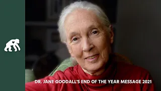 Dr. Jane Goodall's End of Year Message 2021