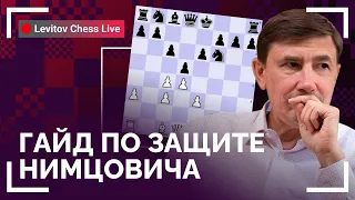 ГАЙД ПО ЗАЩИТЕ НИМЦОВИЧА // @LevitovChess Live