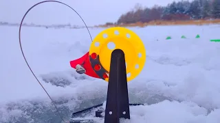 РЫБАЛКА 20 НОЯБРЯ НА ЖЕРЛИЦЫ И НА МОРМЫШКУ-БЕЗМОТЫЛКУ.УЖИН ИЗ УЛОВА.