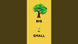 Big And Small Concept | Size Comparison For Preschoolers #shorts