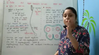 12th Biology ch-2  L-2 in Gujarati Medium by Raksha Bhatt