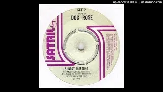 Dog Rose - Sunday Morning