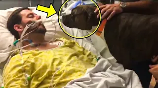 Dying Man Says Goodbye To His Sad Dog. How The Dog Reacted Will Leave You In Tears!