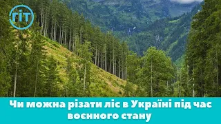 Чи можна різати ліс під час воєнного стану: Володимир Левосюк | ГІТ