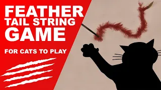 😻Cat Games - Feather Tail String (addictive)