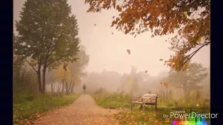 Lx24-Осенний туман