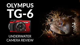 Olympus TG 6 Underwater Camera Review