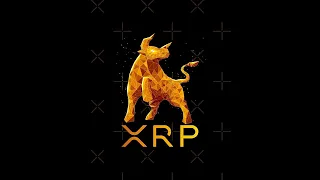 Ripple XRP Бул Ран на пороге