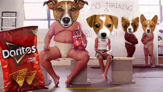 Doritos Commercial I Want Sumo Doritos, Dog Head Version
