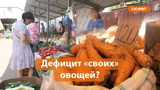 Овощной кризис в Татарстане. Почему так сильно подорожали овощи?