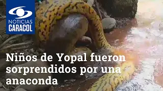 Niños que jugaban en caño de Yopal fueron sorprendidos por una anaconda