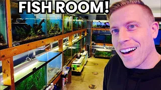 INSANE Fish Room Tour with 70 Aquariums!