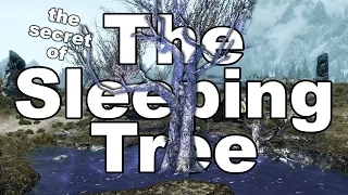 Skyrim: The Secret of the Sleeping Tree