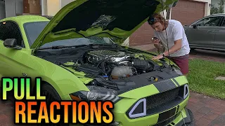 TOOK MY FRIEND FOR HIS FIRST PULL IN A WHIPPLE SUPERCHARGED MUSTANG GT! (REACTION) #FORD #MUSTANG