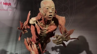 Real Bodies Museum Exhibit Review - Warning! Real Preserved Human Specimens in video!