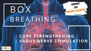 MULTIPLE SCLEROSIS EXERCISE - BOX BREATHING  **  STRENGTHEN YOUR CORE & STIMULATE THE VAGUS NERVE **