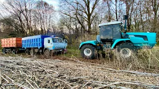 Українець рятує кацапа❗️ХТЗ-243к проти КамАЗ 55102💪Загруз КамАЗом в полі.Таких жнив ще не було🇺🇦