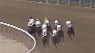 1989 Belmont Stakes