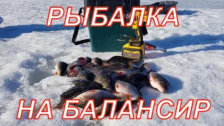 Зимняя рыбалка на ОКУНЯ на Чебоксарском водохранилище река Волга. Нам повезло с поиском рыбы!!!