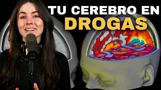 ¿Puede el MDMA mejorar tu Salud Mental?