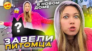 ВЛОГ ИЗ НОВОГО ДОМА! ЗАВЕЛИ СЕБЕ ПИТОМЦА VLOG