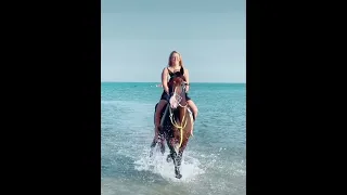 2022 most viral#shorts #2021 #tiktok #stunt #horse #2022 #hot#sea #fishing #girl #tiktokvideo #viral
