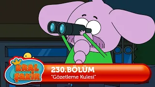 Kral Şakir 230. Bölüm - Gözetleme Kulesi