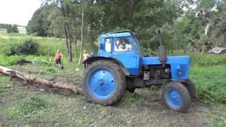 Traktorius "belarusas" ir medis "uosis" 0 - 1