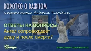 Ангел сопровождает душу и после смерти? о. Андрей Ткачев