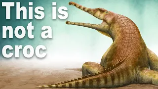 Every Time Things Have Evolved Into Crocodiles