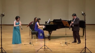 Eduard Destenay: Trio for Piano, Oboe and Clarinet, Op.27 in b minor: 1st Movement