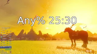 BotW Any% 25:30 [Former WR]