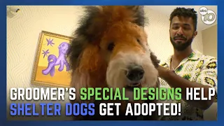 Dog groomer donates time to help shelter animals get adopted