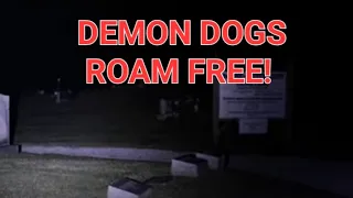 Policeman come here! DEMON DOGS APPEAR HERE!  Boone Hutchison Cemetery. We aren't alone!