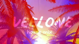 HOUSE MIX 2023 ( DJ VEELONE, TRAPHOUSE )