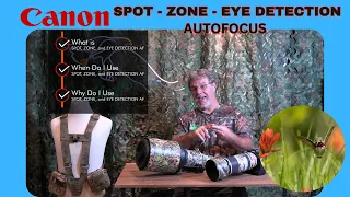 Canon R3, R5, R7 and More-The What, When, and Why for Spot, Zone, and Eye Detection Autofocus