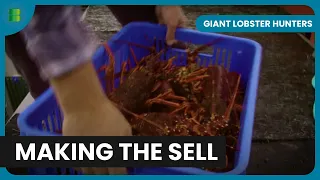 Selling the Lobsters - Giant Lobster Hunters - Documentary