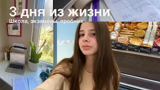 3 дня из жизни