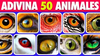 Adivina 50 Animal Por Sus Ojos En 5 Segundos 🦊🐻🦁 Adivina el Animal